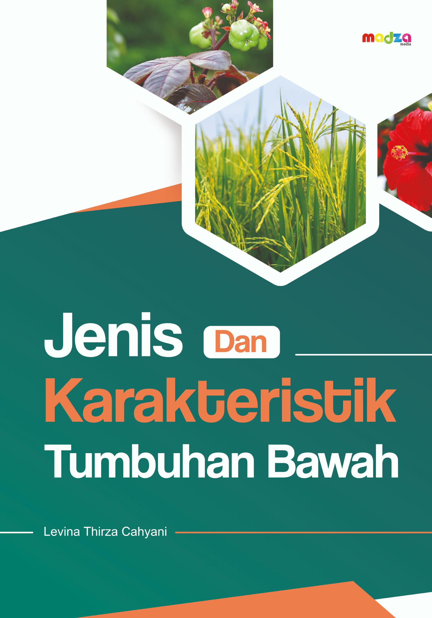 Jenis dan Karakteristik Tumbuhan Bawah