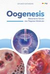 Oogenesis Mekanisme Seluler dan Regulasi Molekuler