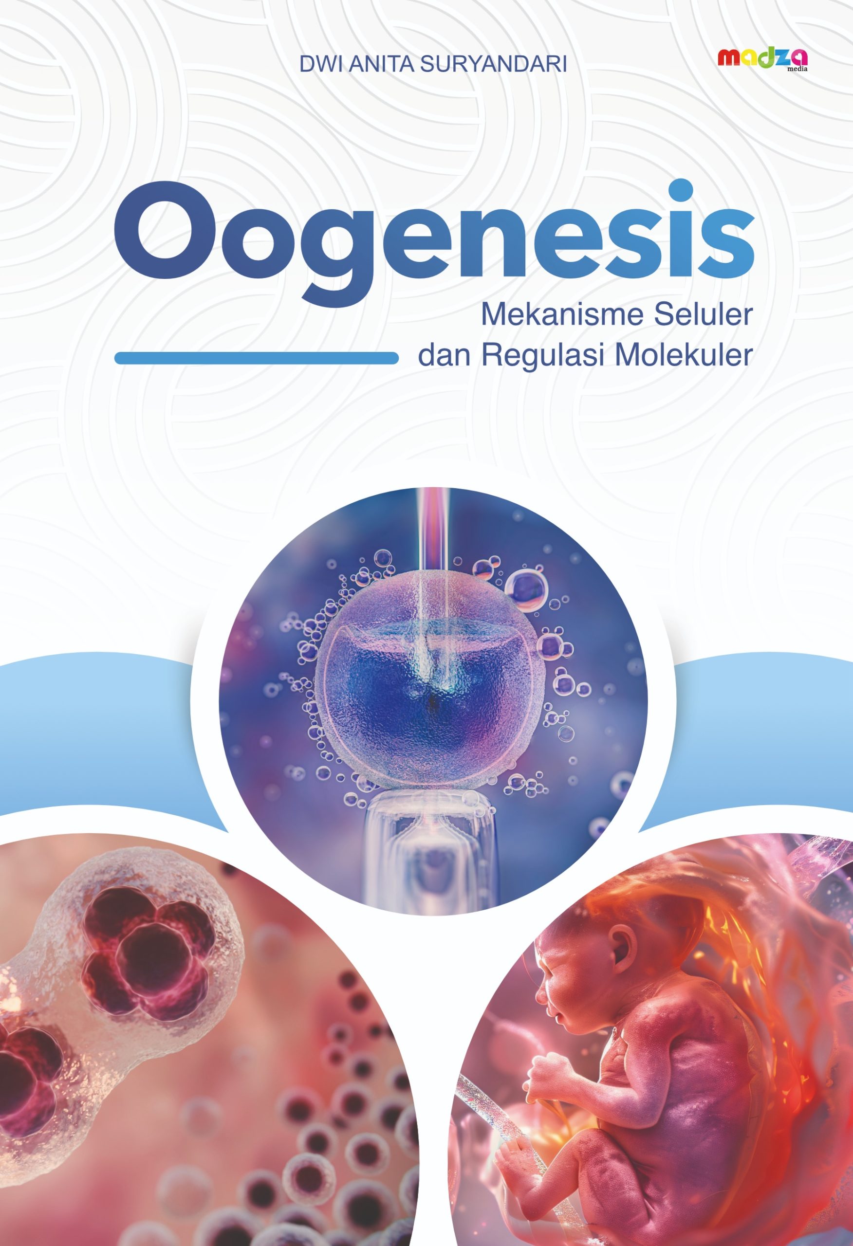 Oogenesis: Mekanisme Seluler dan Regulasi Molekuler