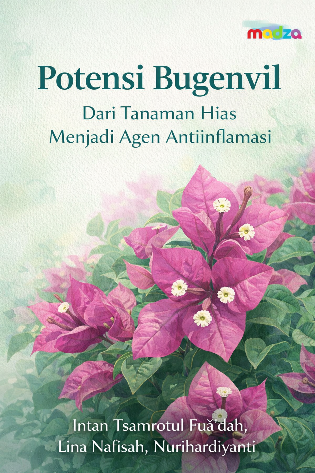 Potensi Bugenvil: Dari Tanaman Hias Menjadi Agen Antiinflamasi
